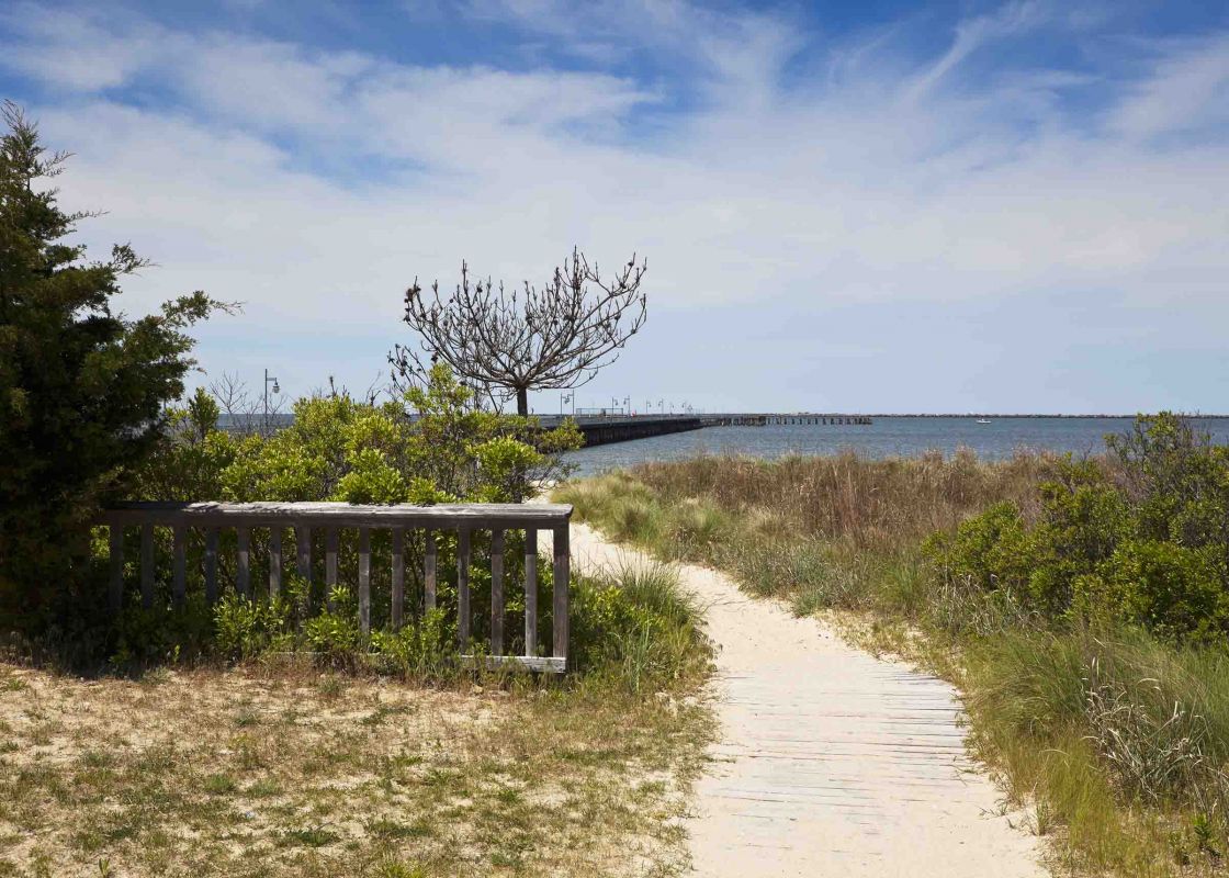 beachside trail at cape henlopen state park