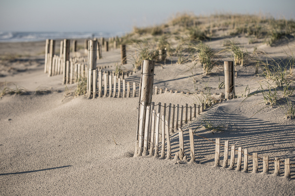 A beach near Ocean City, NJ