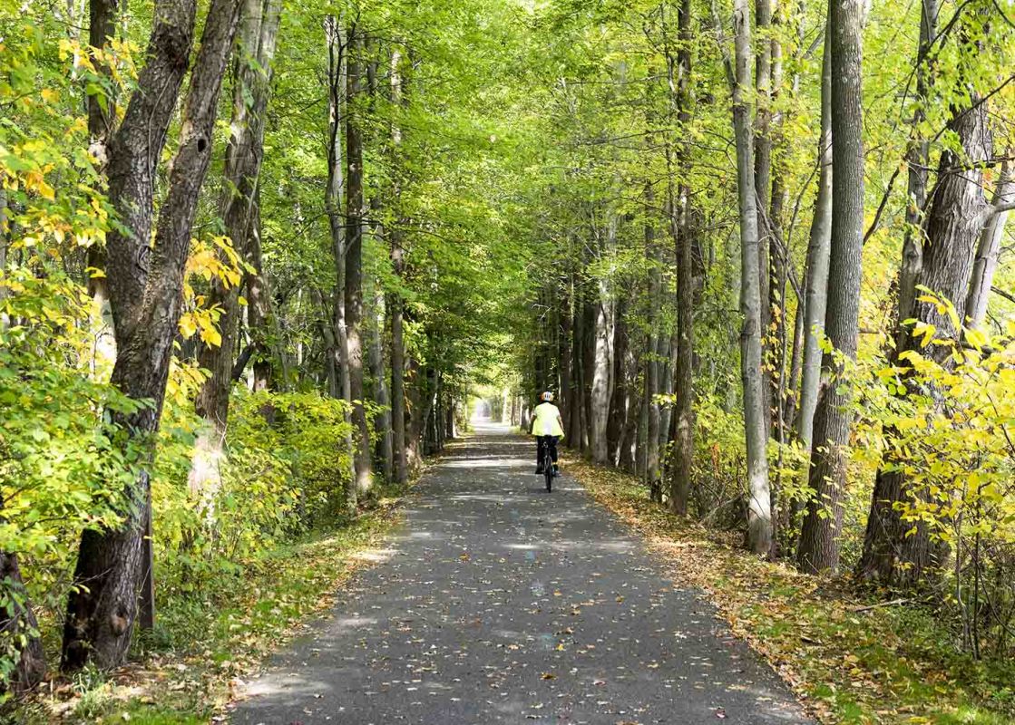 Bike riding through a beautiful tree lined path in Maryland