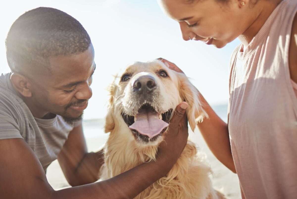 coupld on the beach with their dog