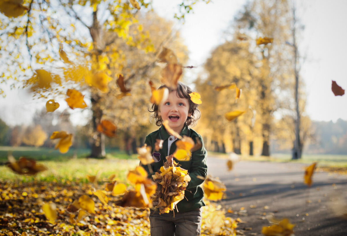 little boy playing in fall leaves