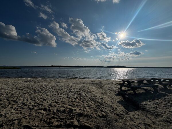 Evening at Fenwick Island State Park