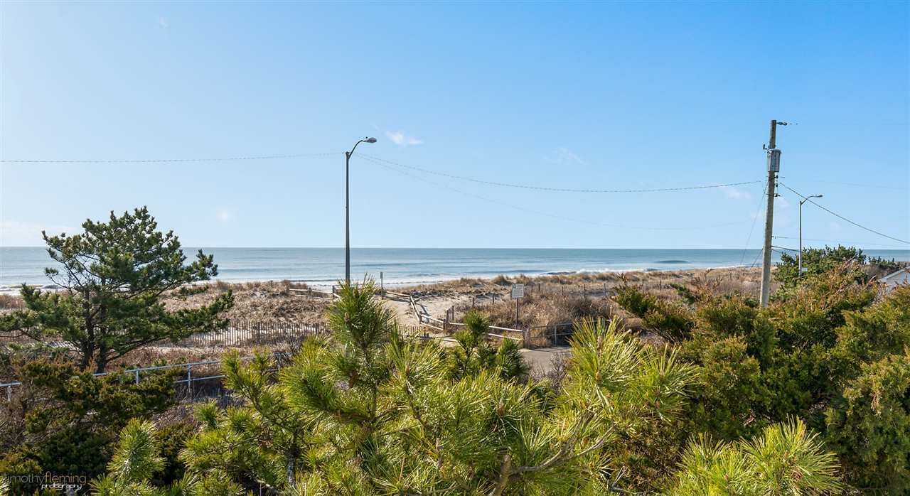 Coastal view with sandy dunes, calm ocean, and clear blue sky; foreground shrubs and utility poles along a path.